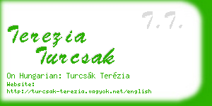 terezia turcsak business card